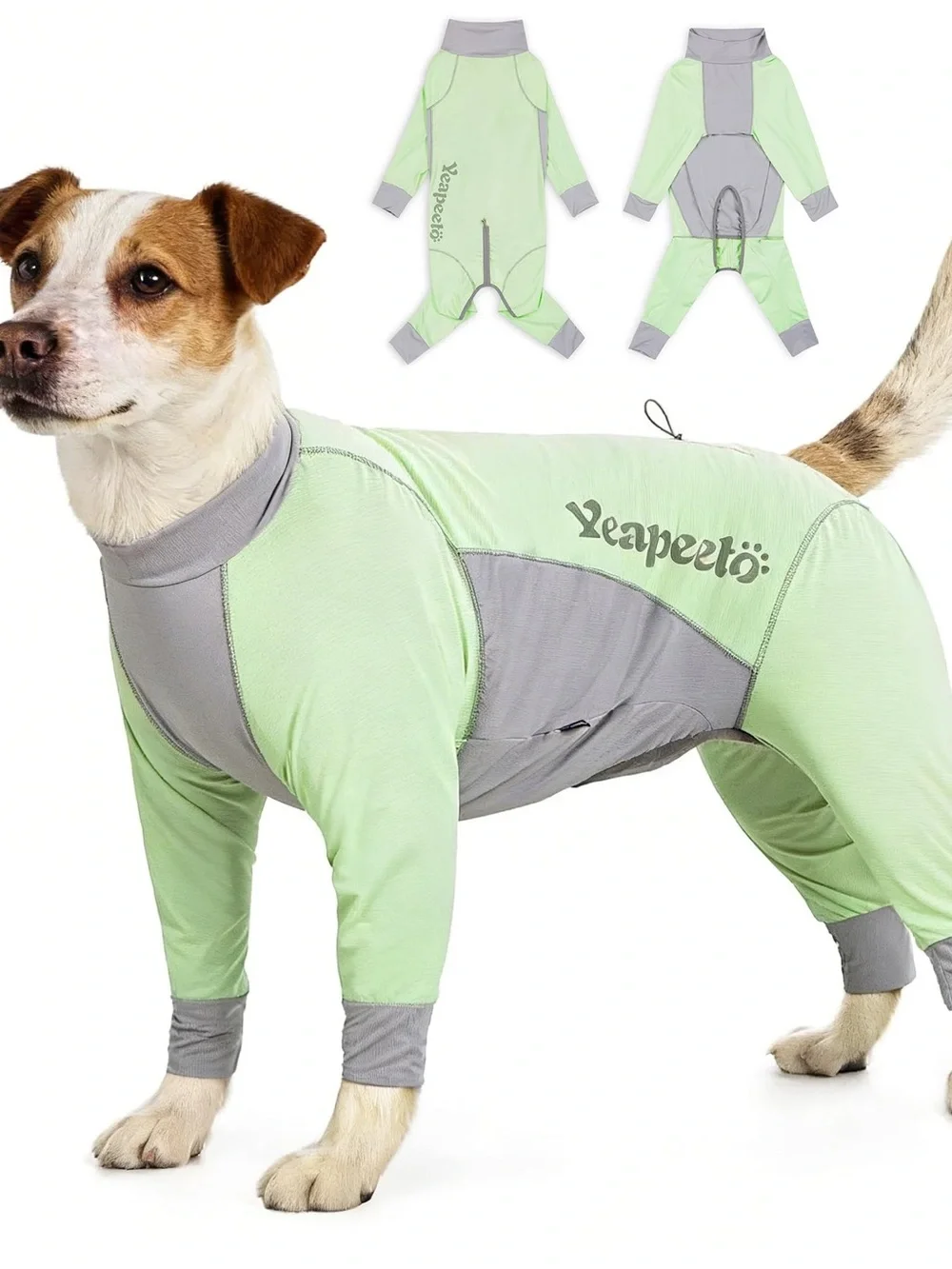 Mint & Gray Full Coverage Dog Bodysuit